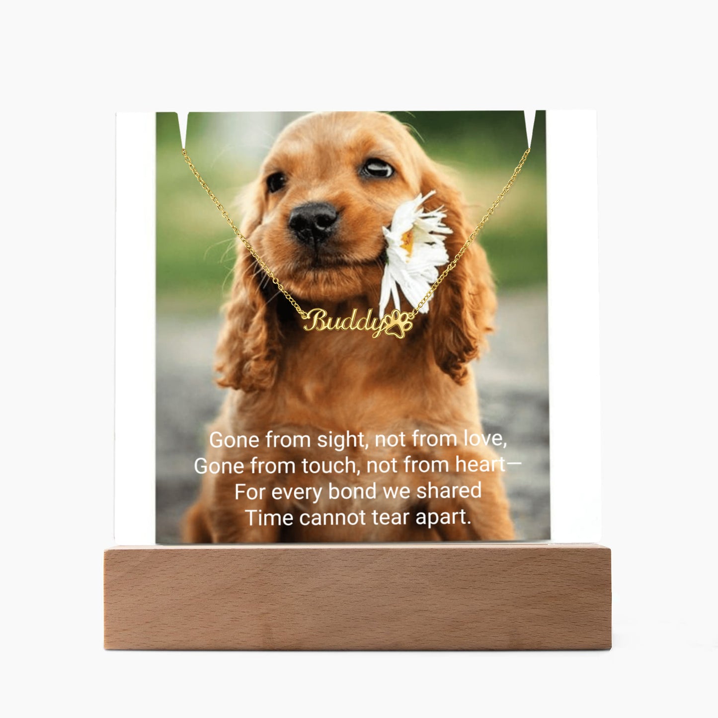 Pet Memorial Name Necklace with Paw – Personalized Keepsake Jewelry for Dog Lover LED Acrylic