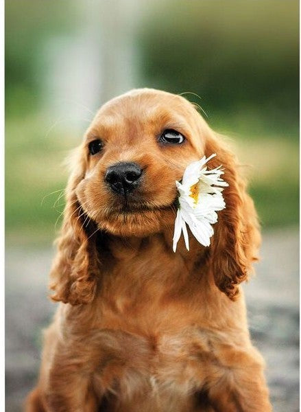 Custom “Loved Pet Pillow – Cherish Their Memory Always