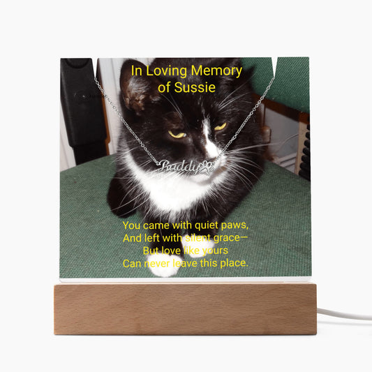 Pet Memorial Name Necklace with Paw – Personalized Keepsake Jewelry for Cat Lovers Led Acrylic