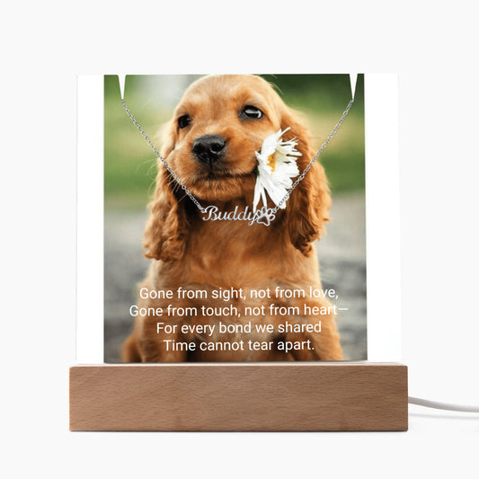 Pet Memorial Name Necklace with Paw – Personalized Keepsake Jewelry for Dog Lover LED Acrylic