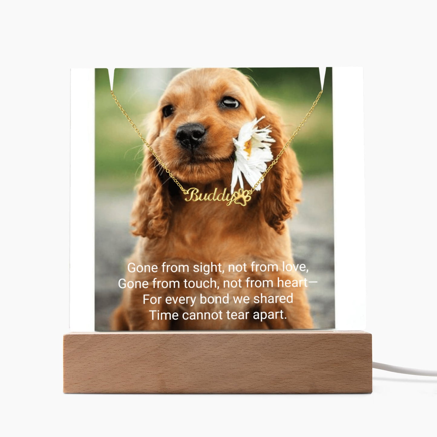 Pet Memorial Name Necklace with Paw – Personalized Keepsake Jewelry for Dog Lover LED Acrylic