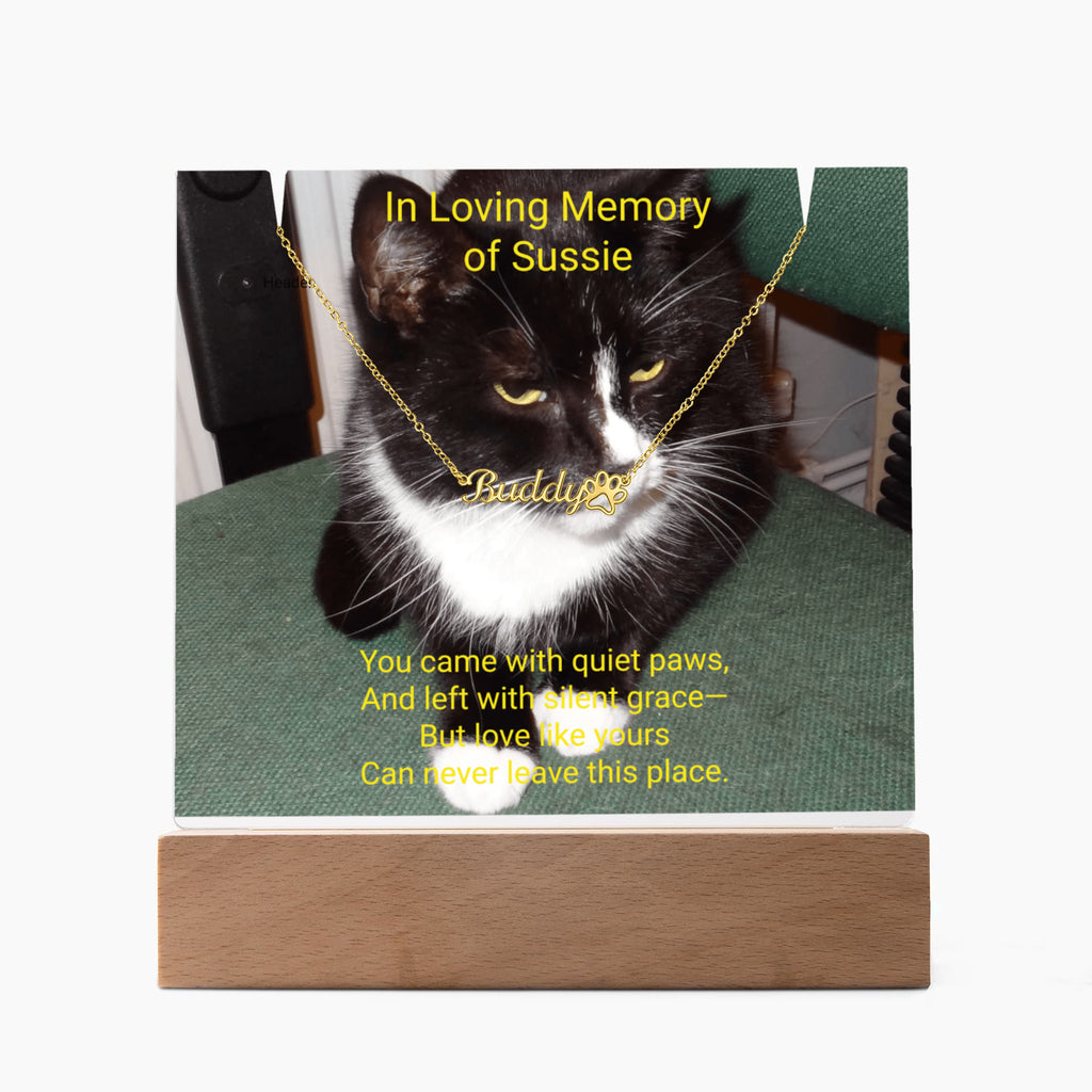 Pet Memorial Name Necklace with Paw – Personalized Keepsake Jewelry for Cat Lovers Led Acrylic