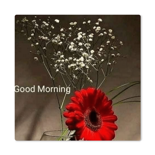 High Gloss Metal Art Print – Stunning Custom Metal Wall Art