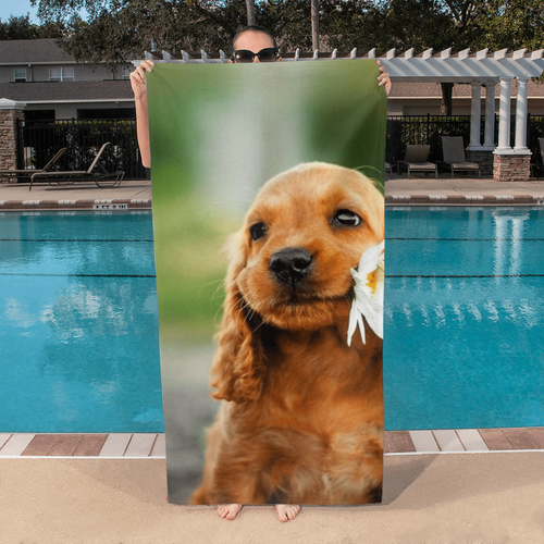Custom Pet Bath Towels – Design Yours Today