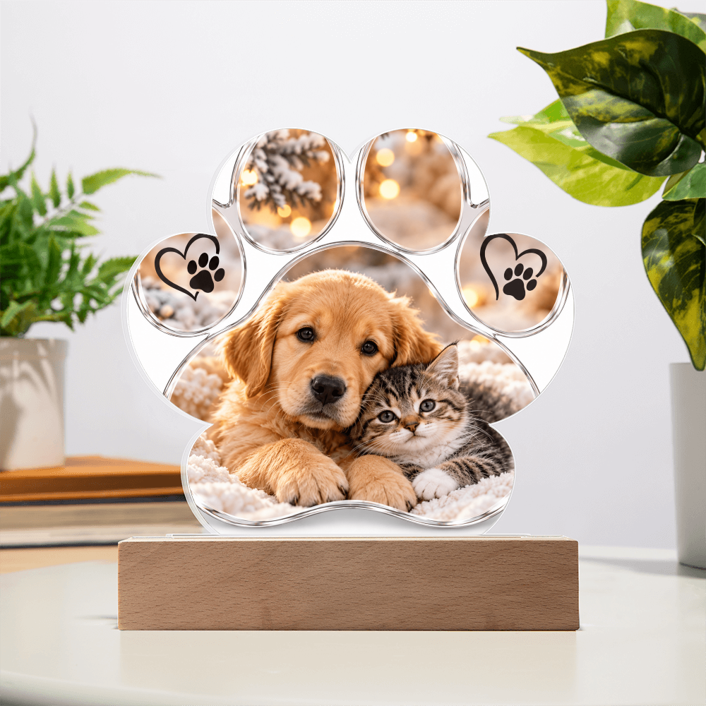 Personalised Acrylic Paw Plaque – Dog and Cat Lover Gift