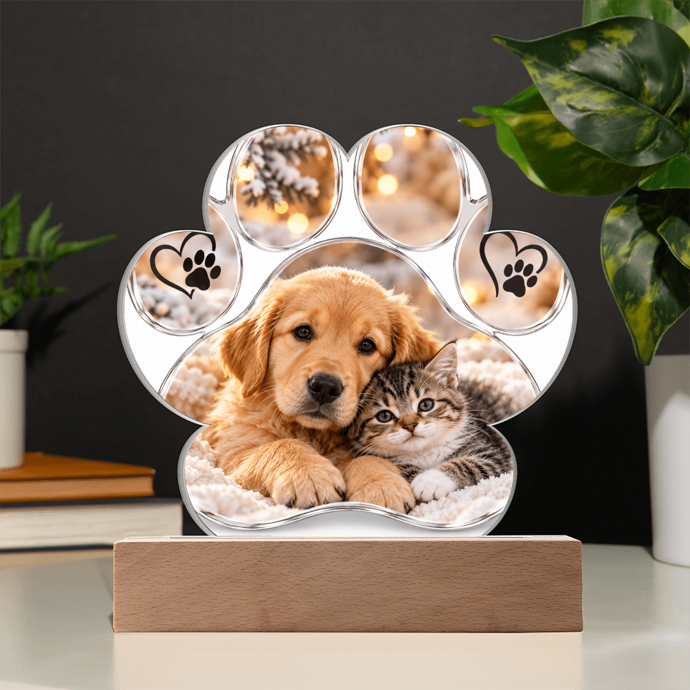 Personalised Acrylic Paw Plaque – Dog and Cat Lover Gift