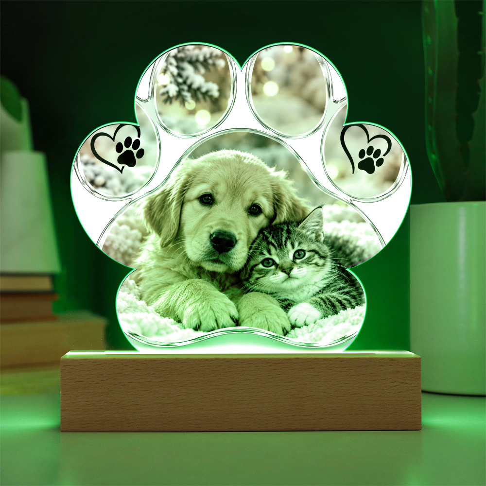 Personalised Acrylic Paw Plaque – Dog and Cat Lover Gift