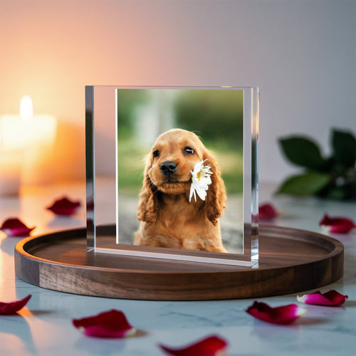 Cherish Your Loved Ones and Pets Forever with Custom  Printed  Acrylic Block
