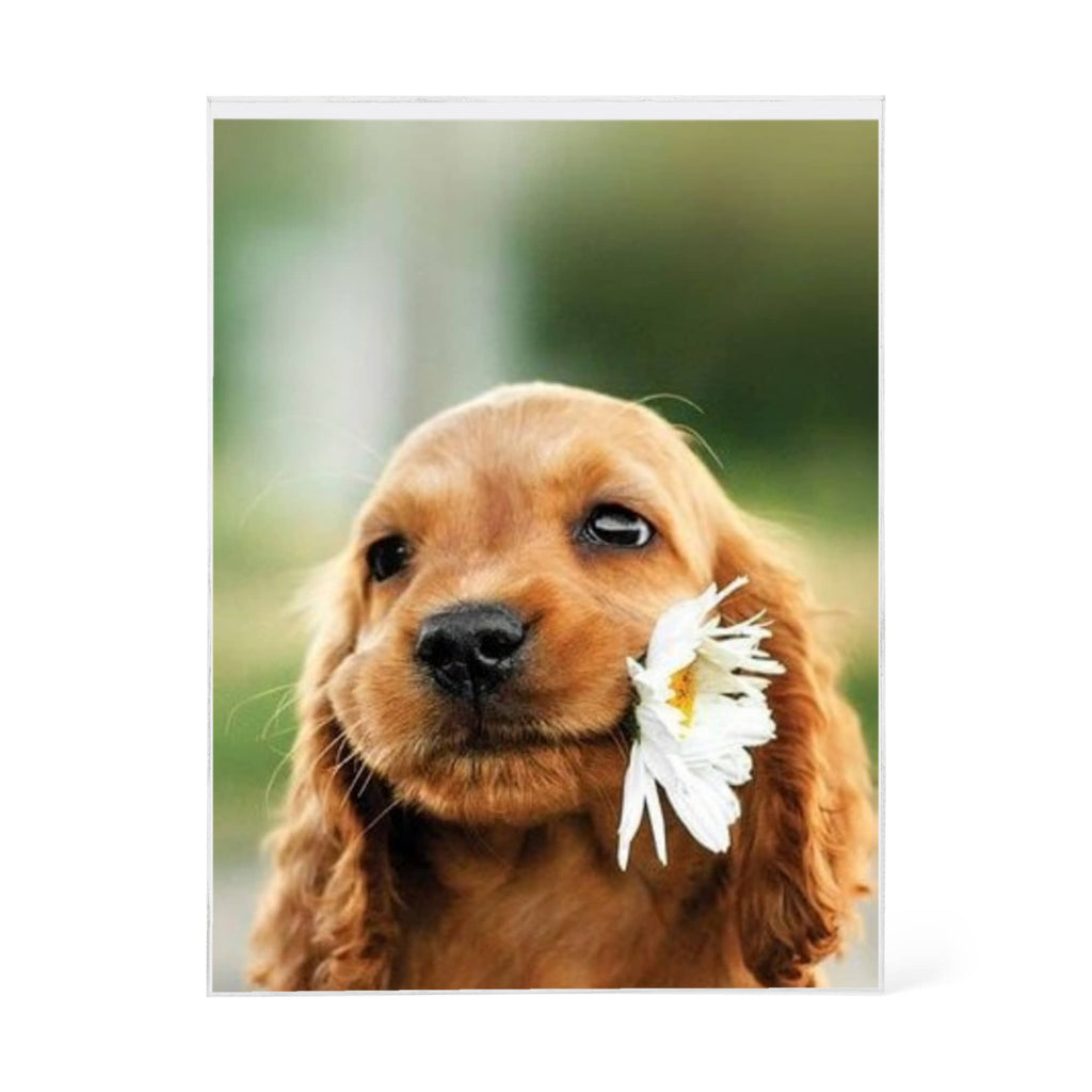 Cherish Your Loved Ones and Pets Forever with Custom  Printed  Acrylic Block