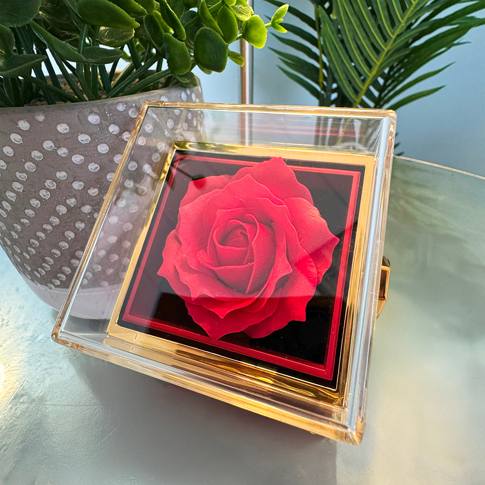 Daughter's Birthday Gift – Forever Love Heart Jewellery with Rotating Rose Gift Box | Meaningful Birthday Necklace